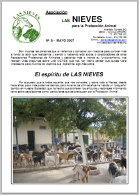 revista de las nieves